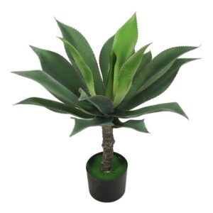 Artificial Jade Plant (Crassula Ovata)