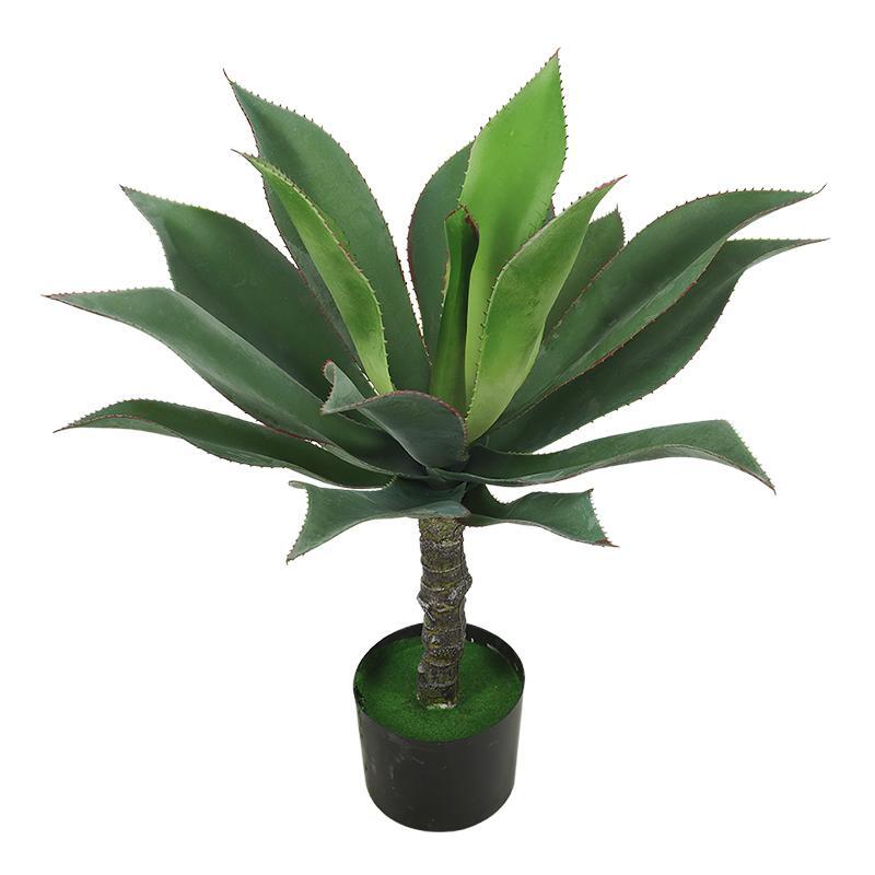 Artificial Jade Plant (Crassula Ovata)