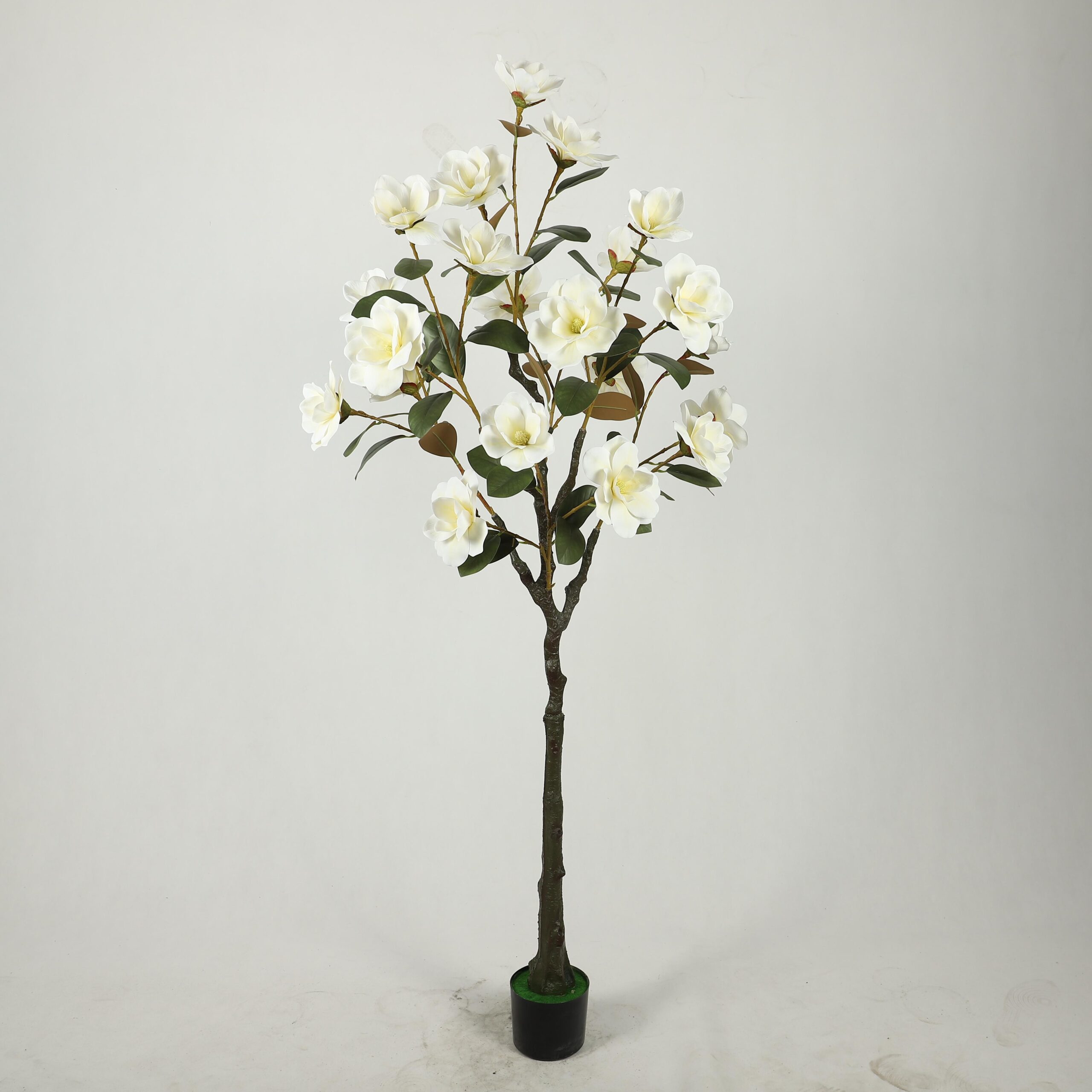 Artificial Magnolia - 图片 2